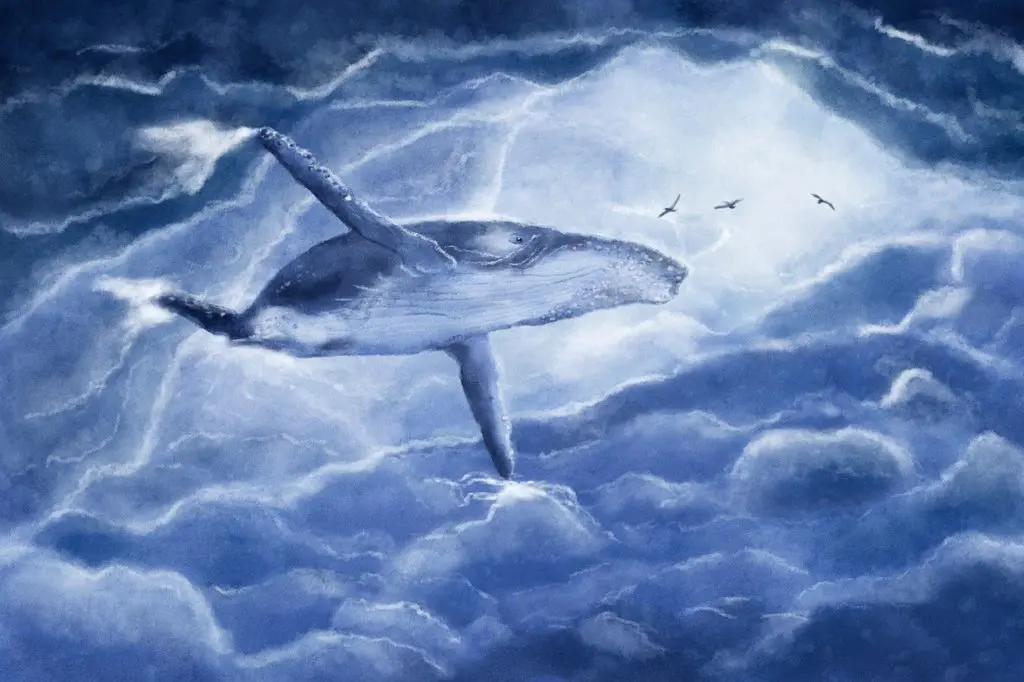クジラ