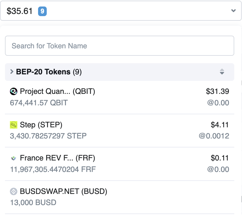 BSCSCAN コインリスト