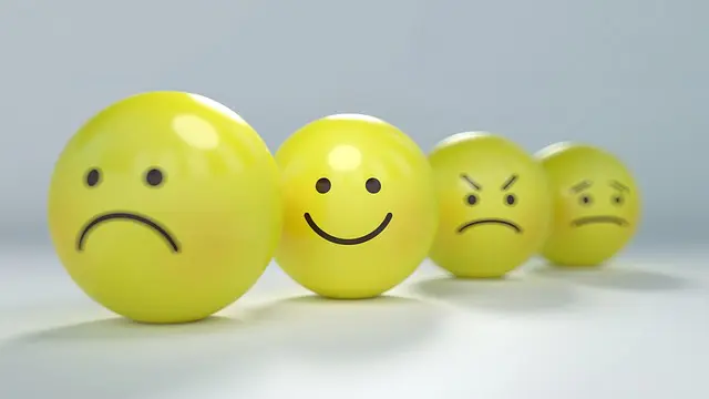 What is enjoyment